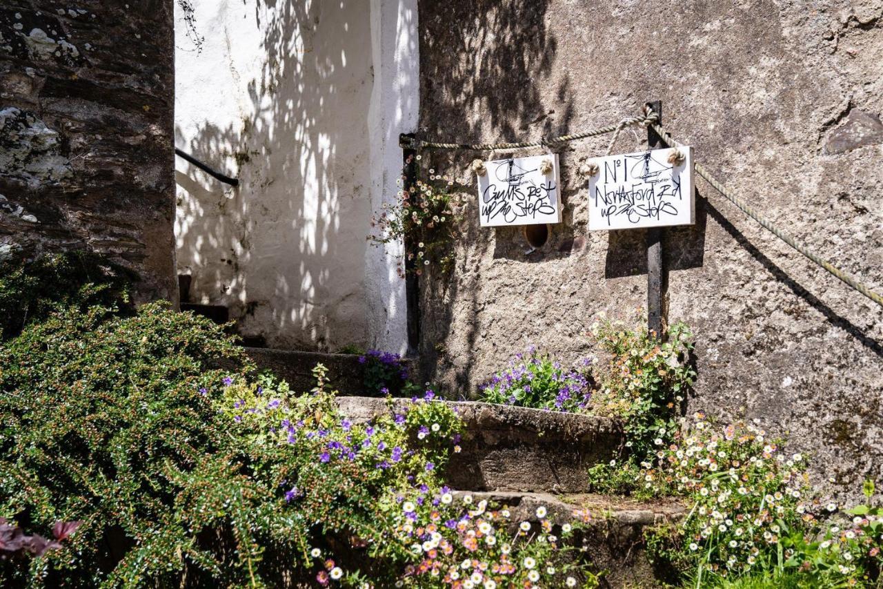 Gulls Rest - Charming Cottage In The Heart Of Historic Dartmouth Exterior foto